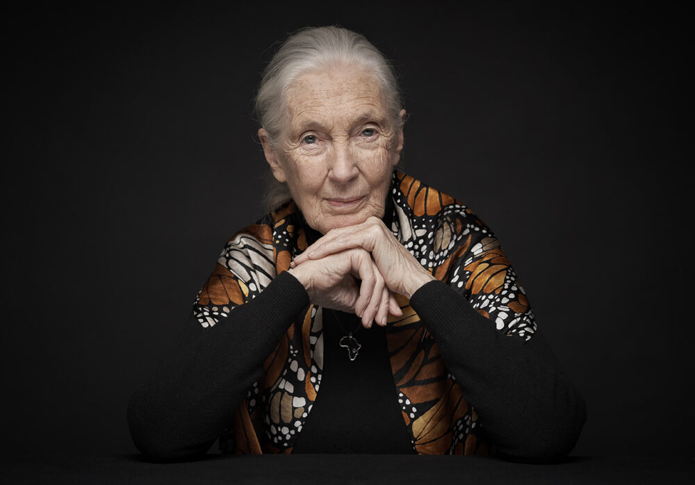 Dr Jane Goodall, DBE